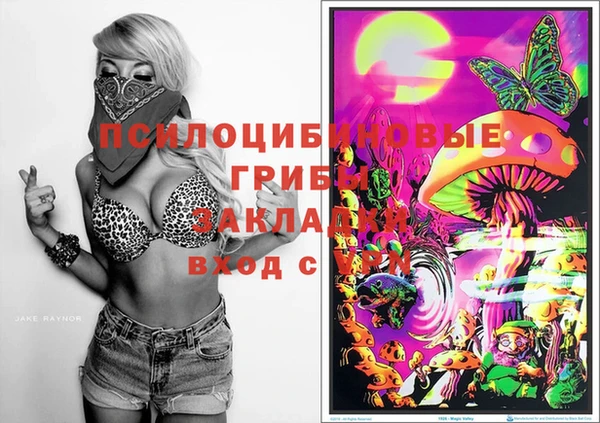 гашик Алзамай
