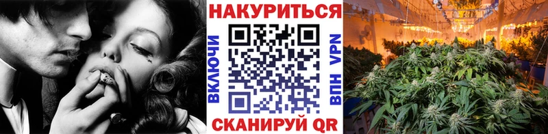 Марихуана гибрид  Кубинка 